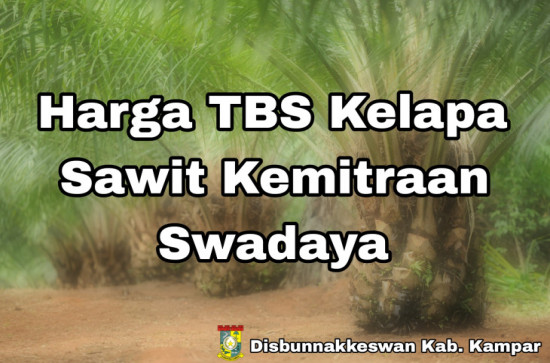 Penetapan Harga TBS Kelapa Sawit Kemitraan Swadaya Provinsi Riau Periode 22 – 28 Oktober 2025