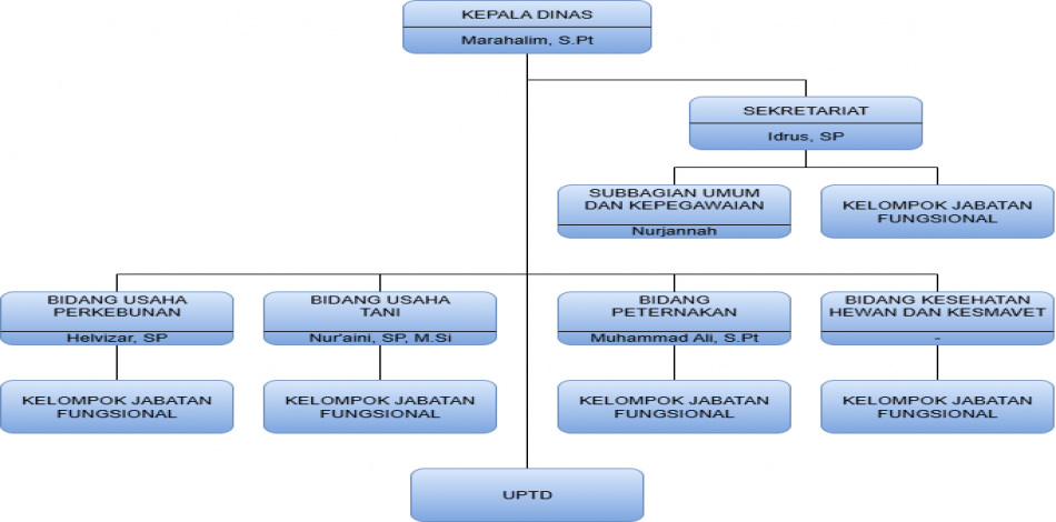 Struktur Organisasi